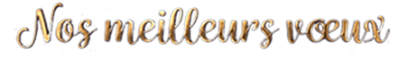 Best Wishes